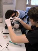 Biologie am WHGW Biologie am WHGW