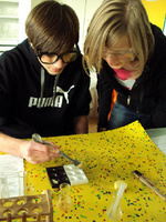 Biologie am WHGW Biologie am WHGW
